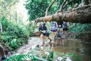 BIB: 
                            <button type="button" onclick="openModal(25476841)" class="btn btn-primary btn-sm float-right btn-popup" data-toggle="modal" data-target=".modal-high-quality">
                        <i class="fas fa-shopping-cart"></i> Add to Cart
                    </button>
                                            <button type="button" onclick="isThisMe(25476841, true)" class="btn btn-success btn-sm float-right btn-popup btn-isme hidden" data-toggle="tooltip" data-placement="bottom" title="นี่คือรูปของคุณใช่ไหม คลิกที่นี่เพื่อเอาเข้าอัลบั้ม">
                        <i class="fas fa-plus"></i> Add to album
                    </button>
                    <button type="button" onclick="isThisMe(25476841, false)" class="btn btn-warning btn-sm float-right btn-popup btn-isnotme hidden">
                        <i class="fas fa-ban"></i> Remove from album
                    </button>